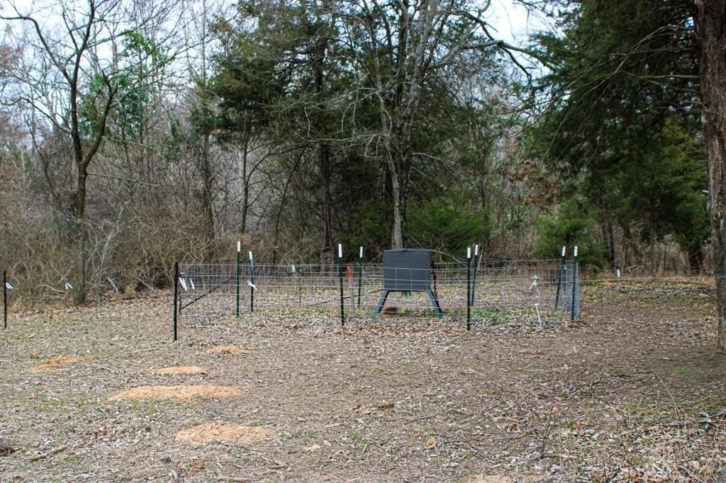 25 acres in Wood County - photo 22
