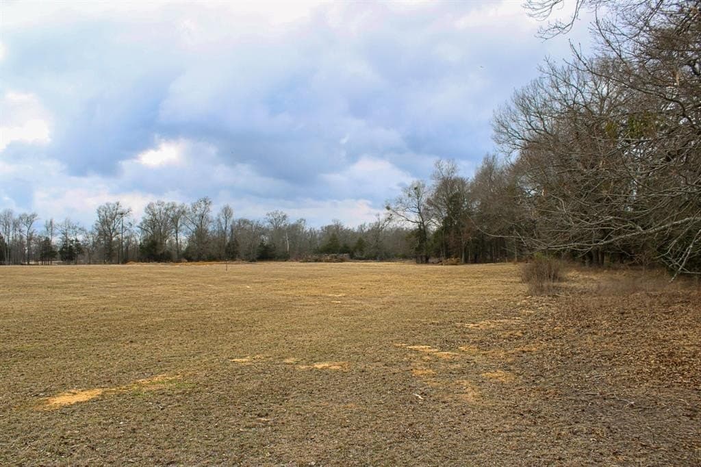 25 acres in Wood County - photo 16