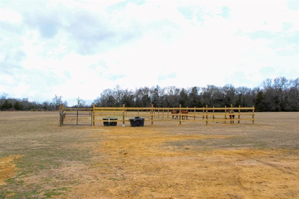 25 acres in Wood County - photo 5