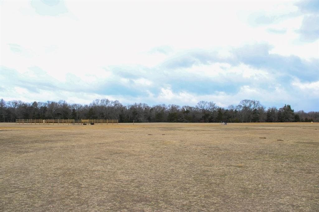 25 acres in Wood County - photo 31