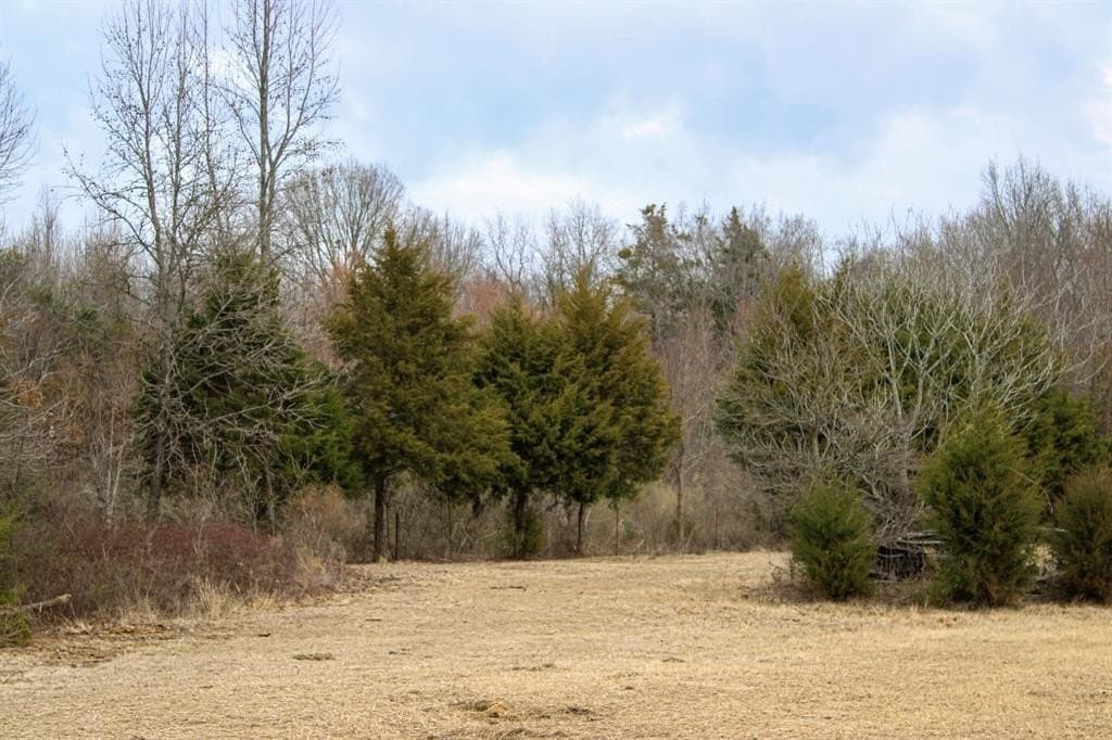 25 acres in Wood County - photo 24