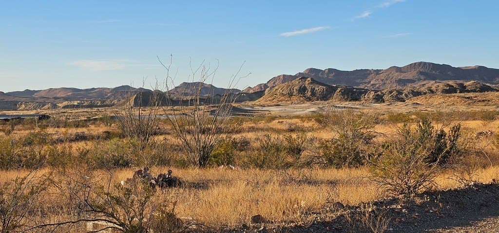 46.94 acres in Brewster County - photo 21