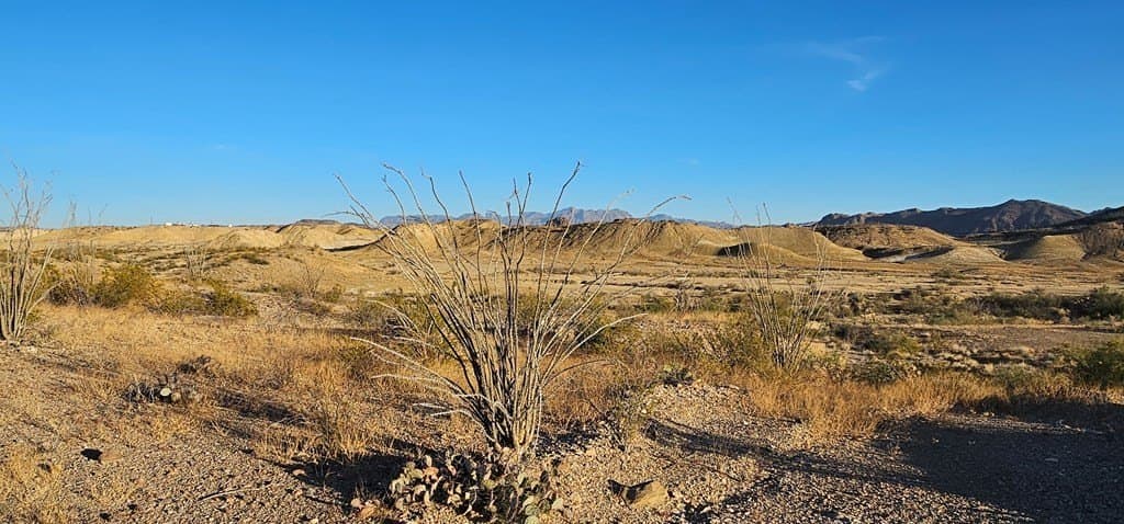 46.94 acres in Brewster County - photo 22