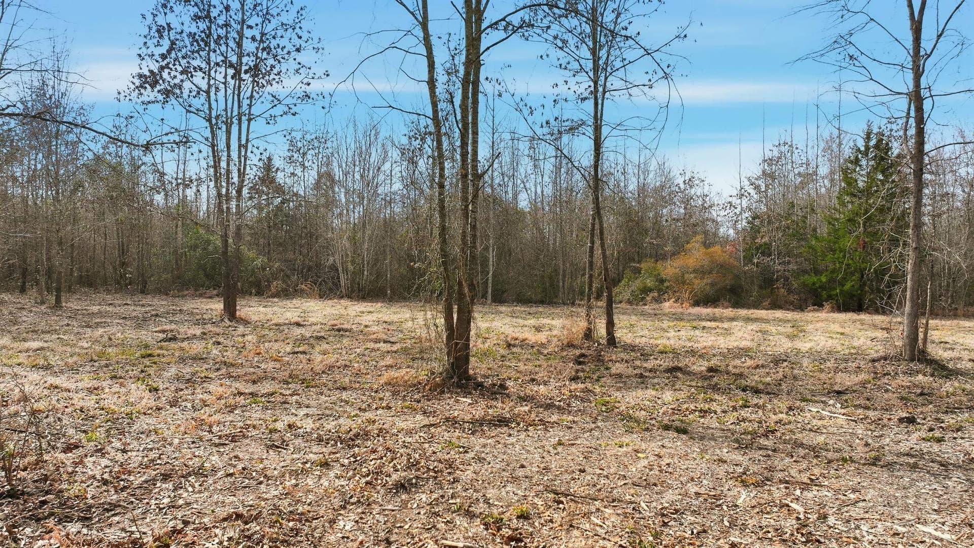 14.12 acres in Upshur County - photo 4