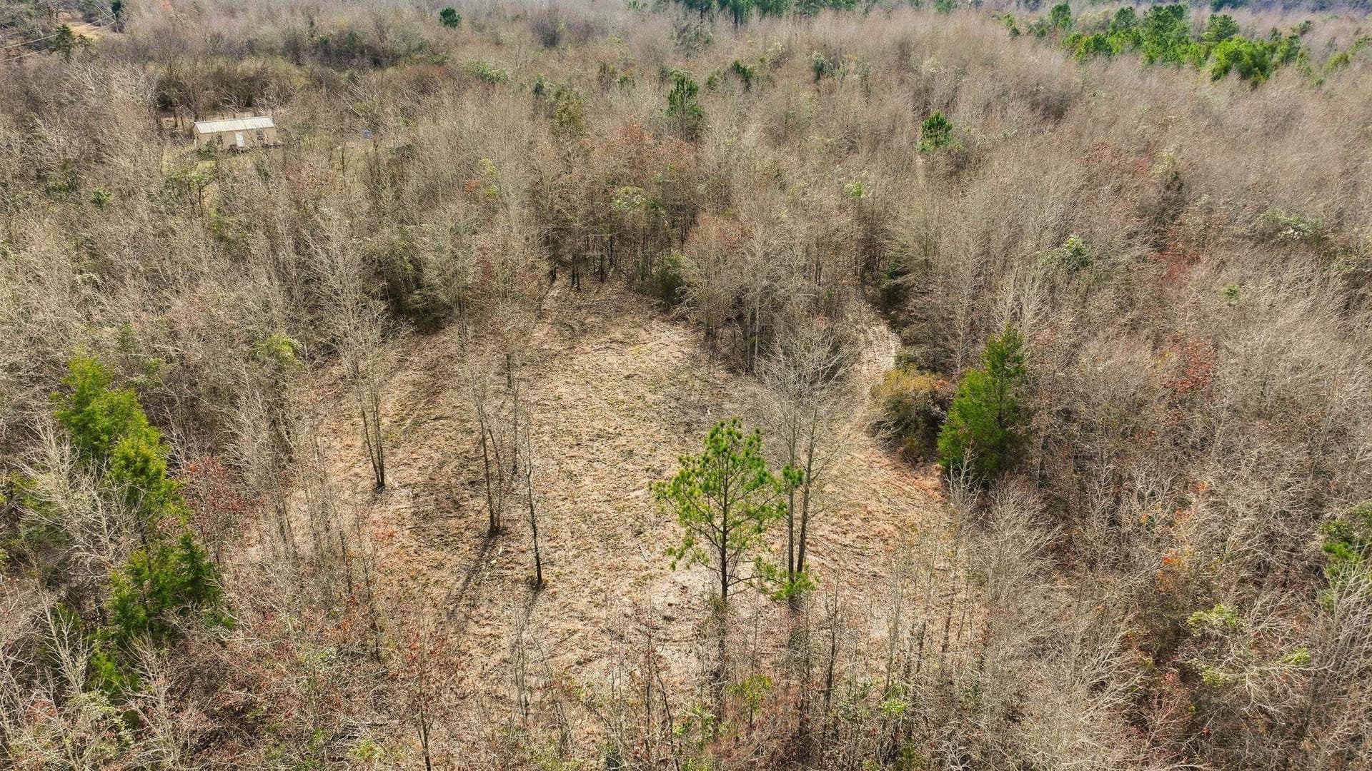 14.12 acres in Upshur County - photo 2
