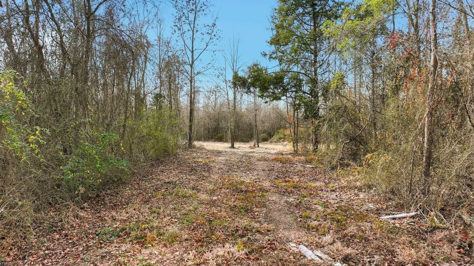 14.12 acres in Upshur County - photo 11