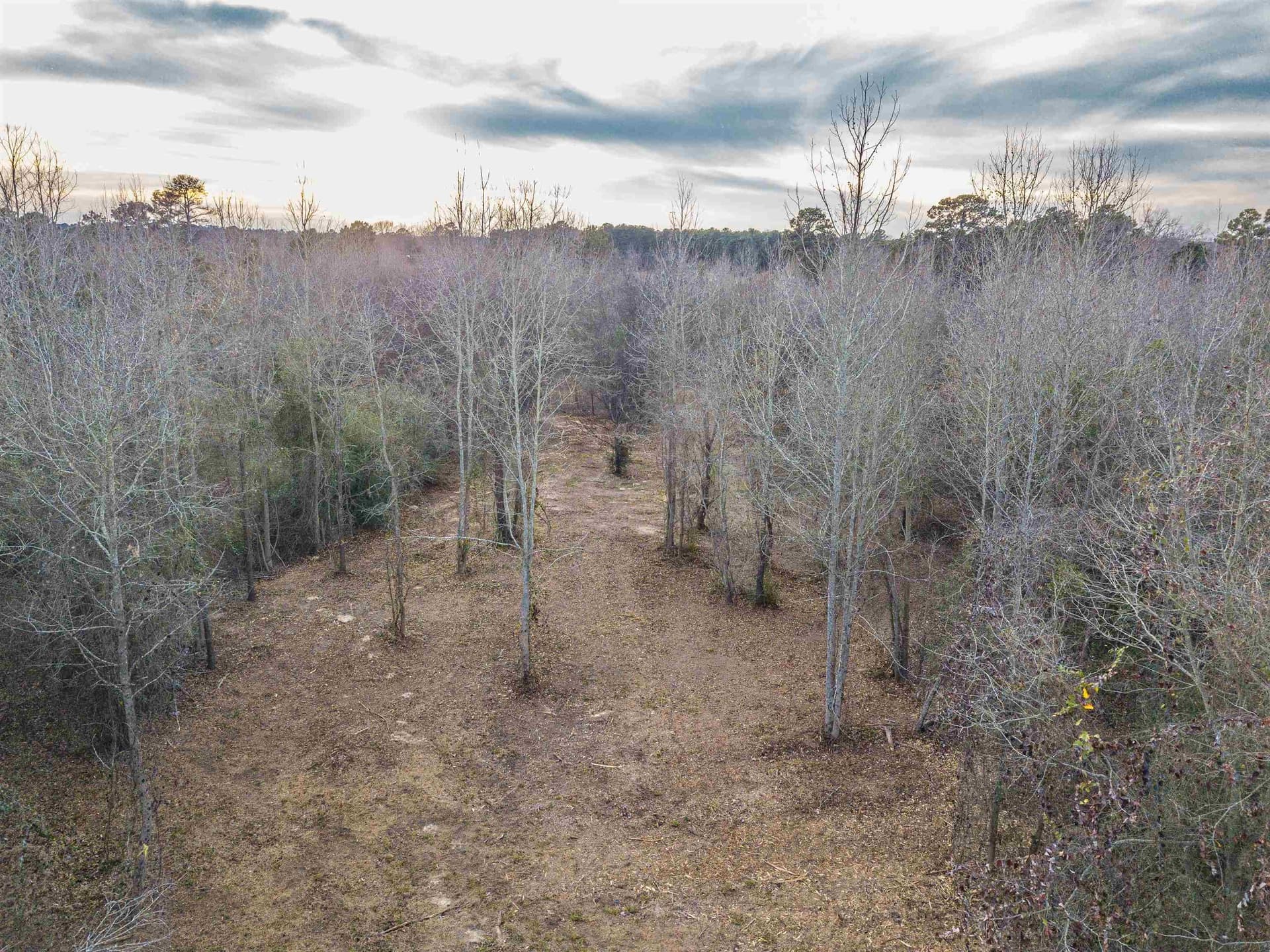 14.12 acres in Upshur County - photo 13
