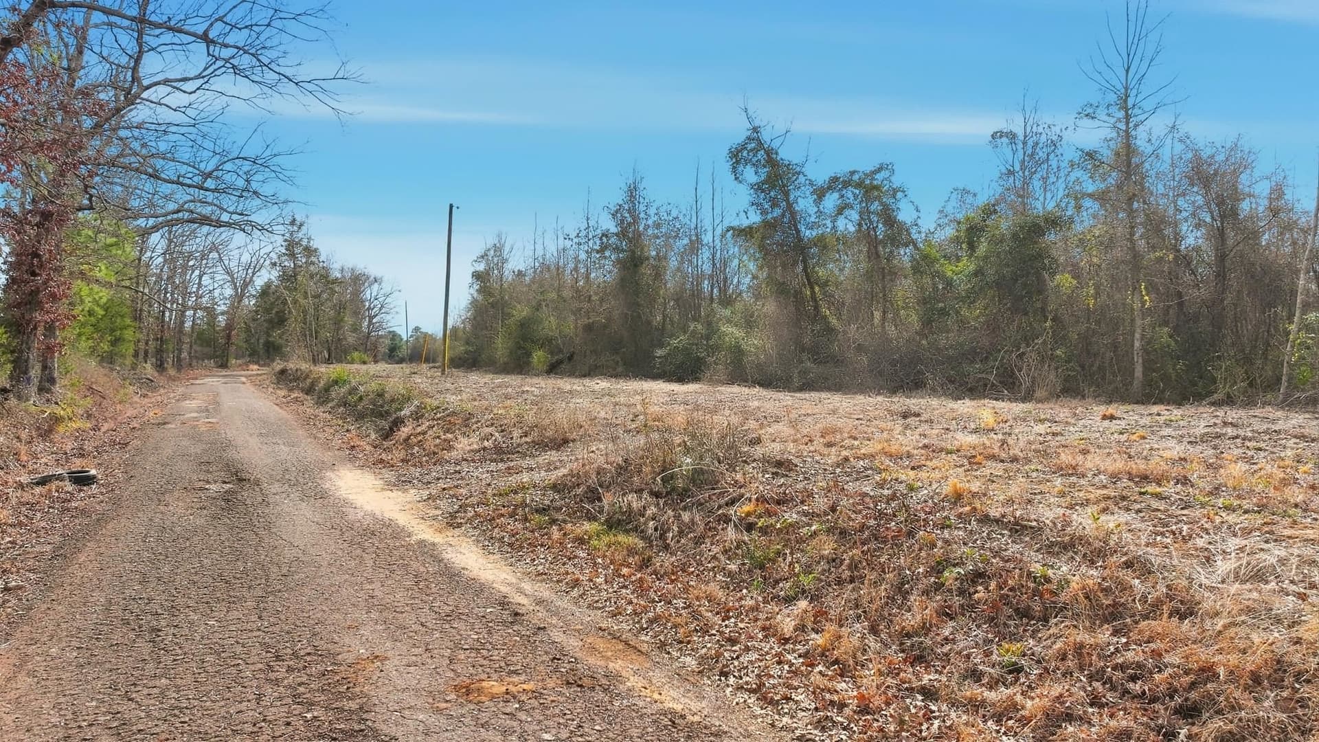 14.12 acres in Upshur County - photo 12