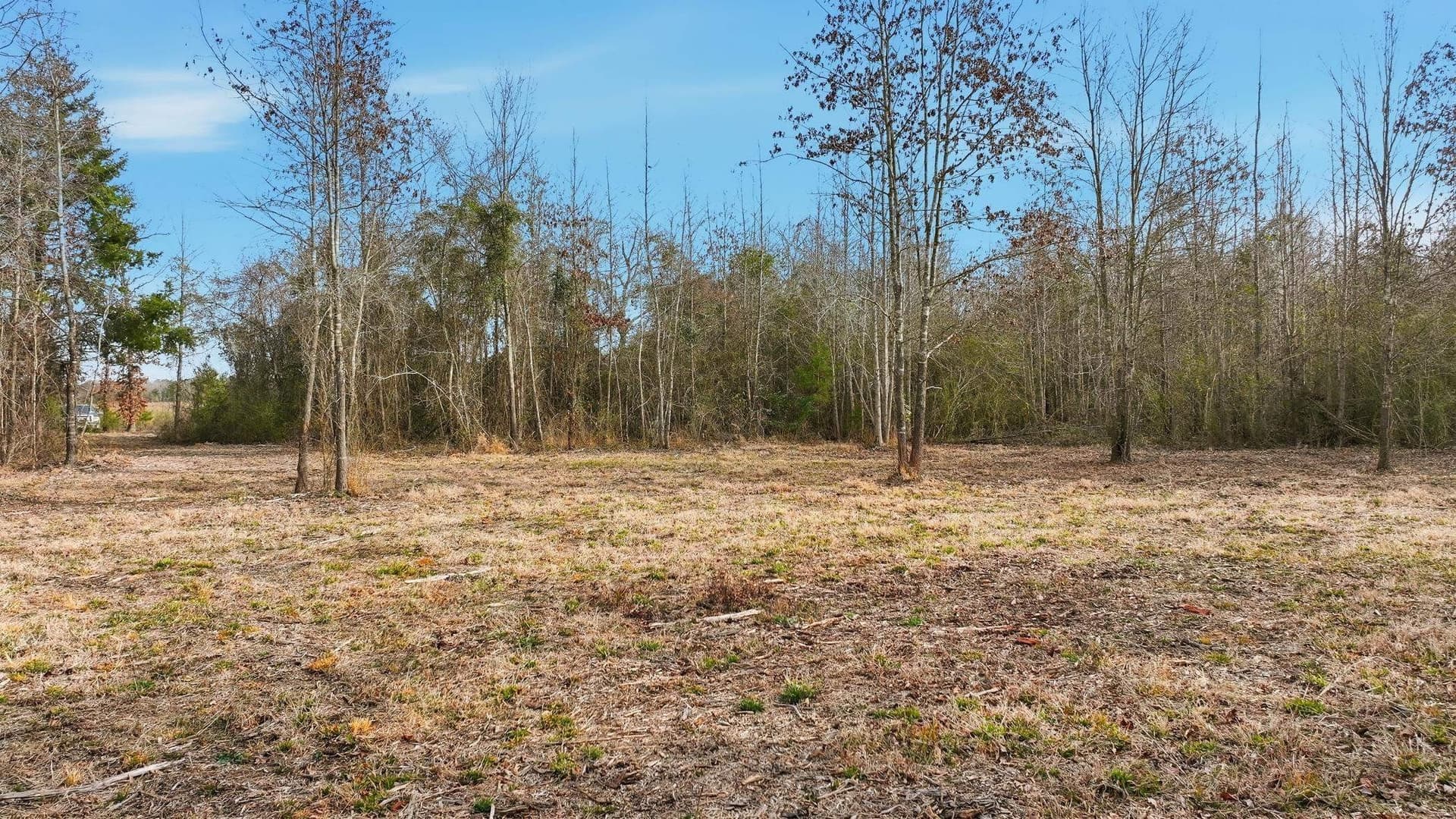 14.12 acres in Upshur County - photo 3