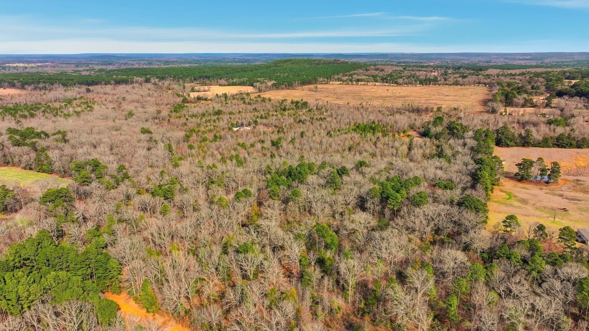 14.12 acres in Upshur County - photo 5