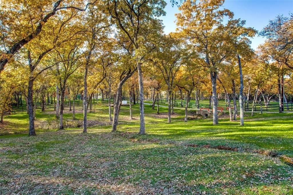 14 acres in Denton County - photo 10