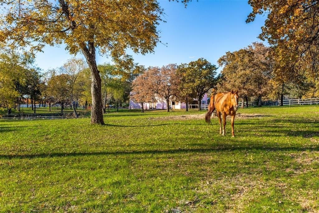14 acres in Denton County - photo 3