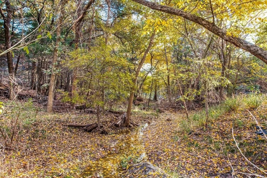 14 acres in Denton County - photo 11