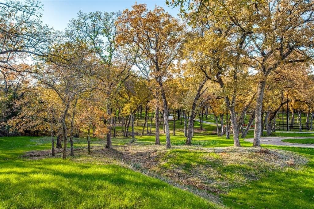 14 acres in Denton County - photo 9
