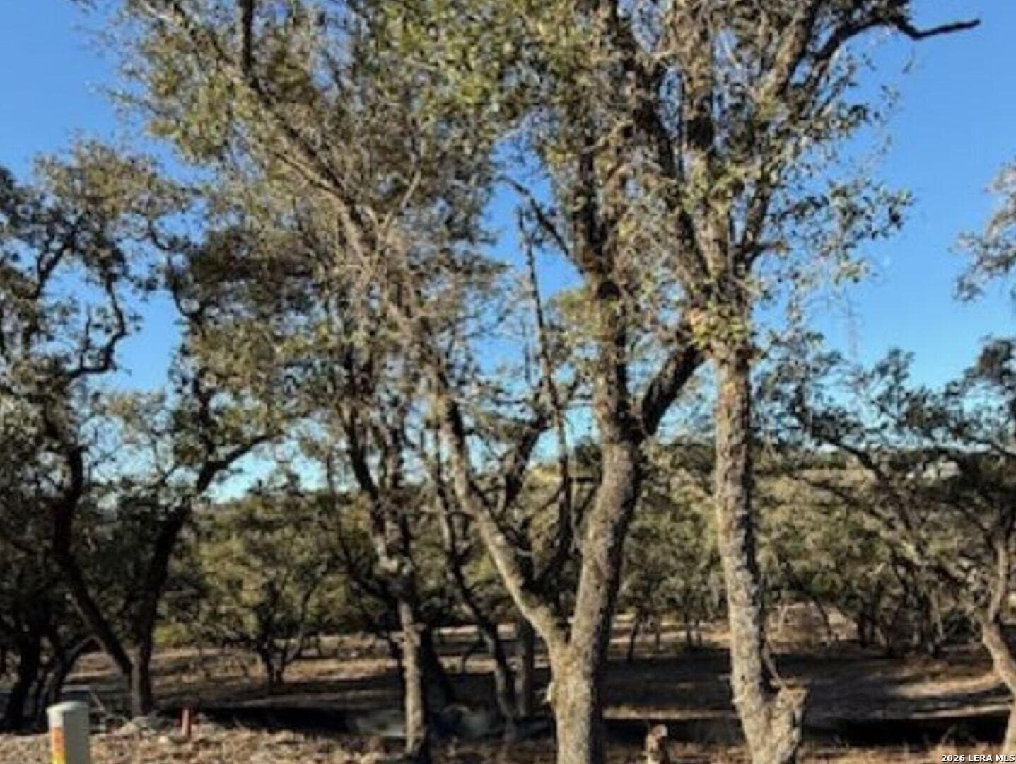 3.11 acres in Medina County - photo 6
