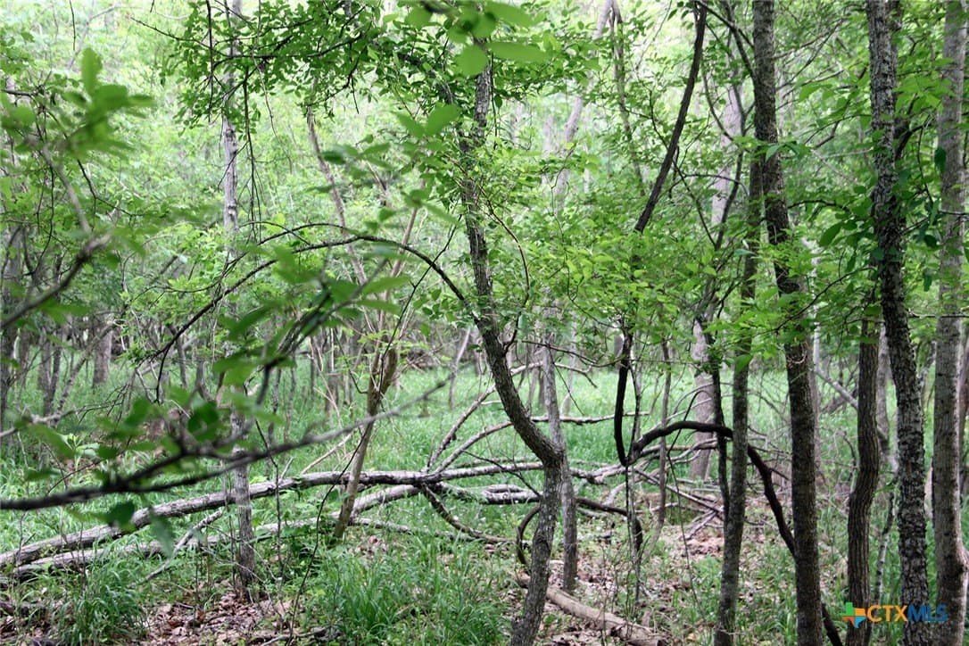 36.03 acres in Caldwell County - photo 4