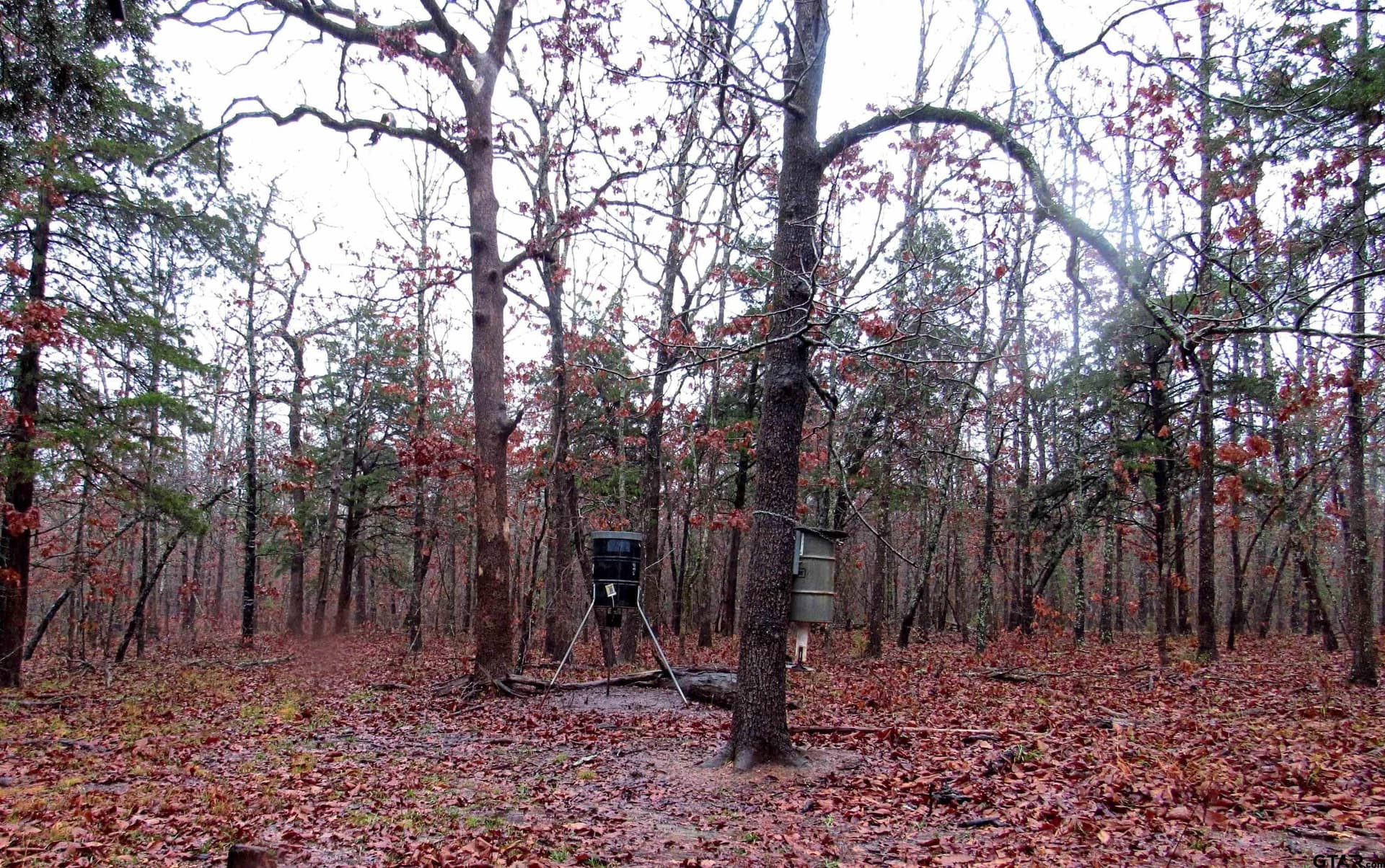 30 acres in Lamar County - photo 17