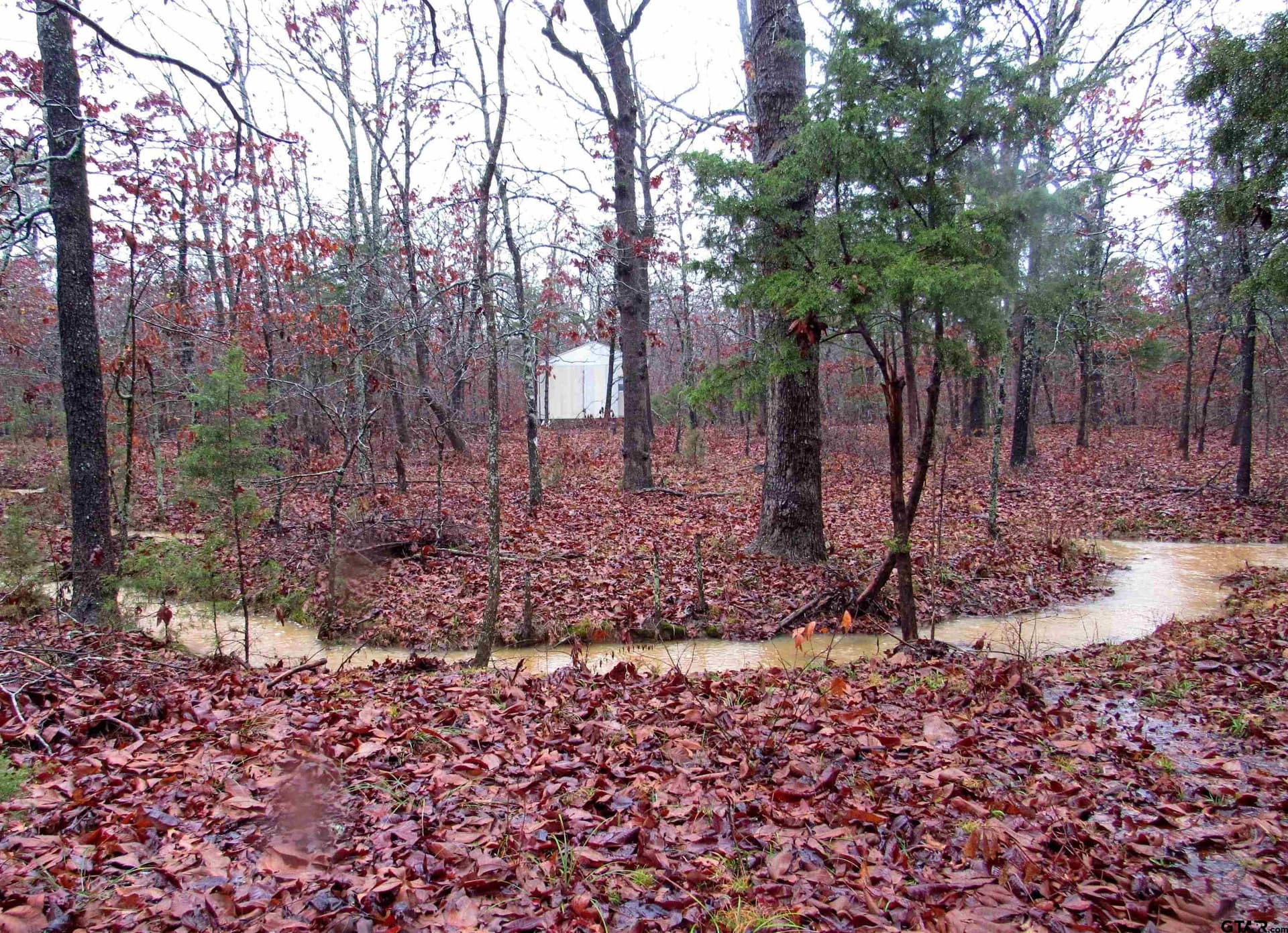 30 acres in Lamar County - photo 15
