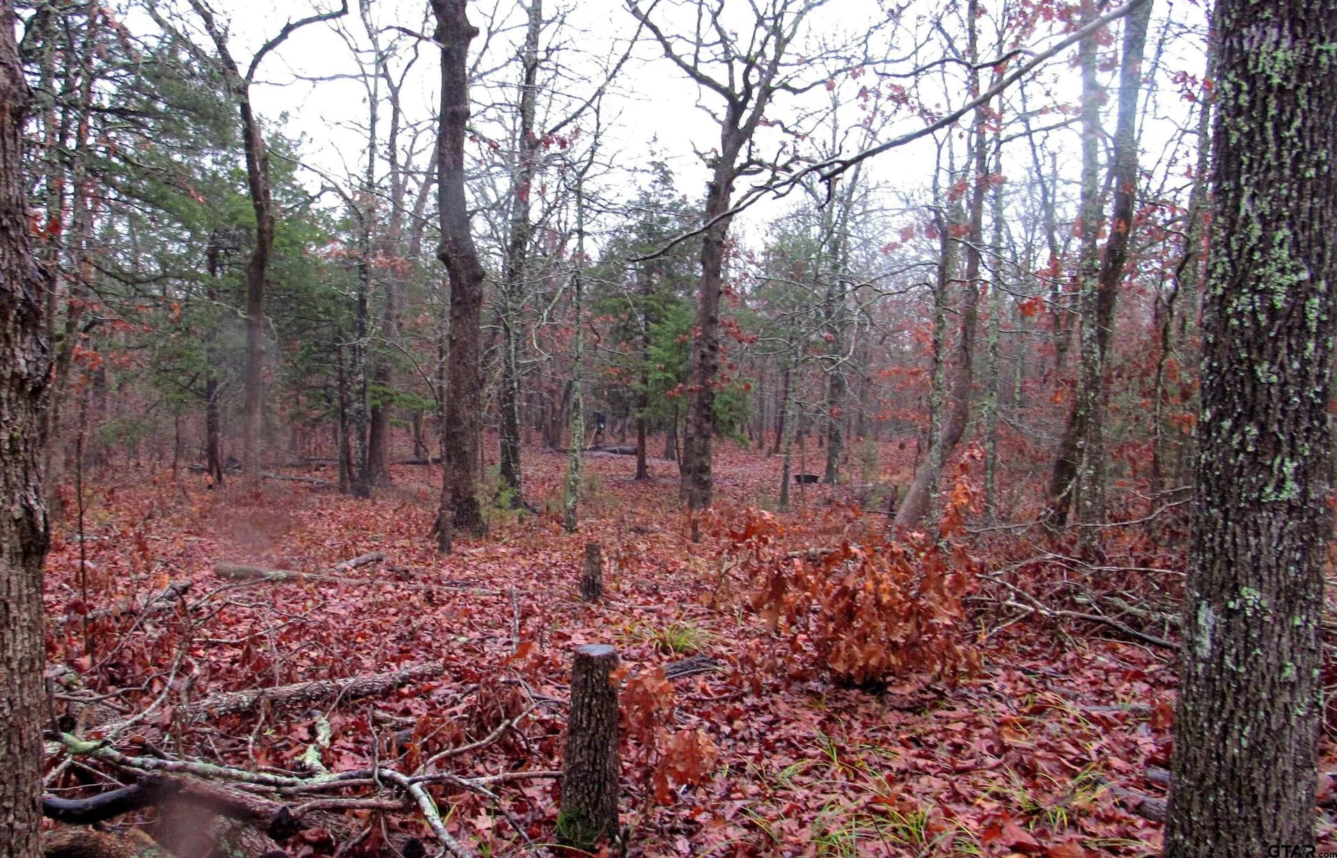 30 acres in Lamar County - photo 26