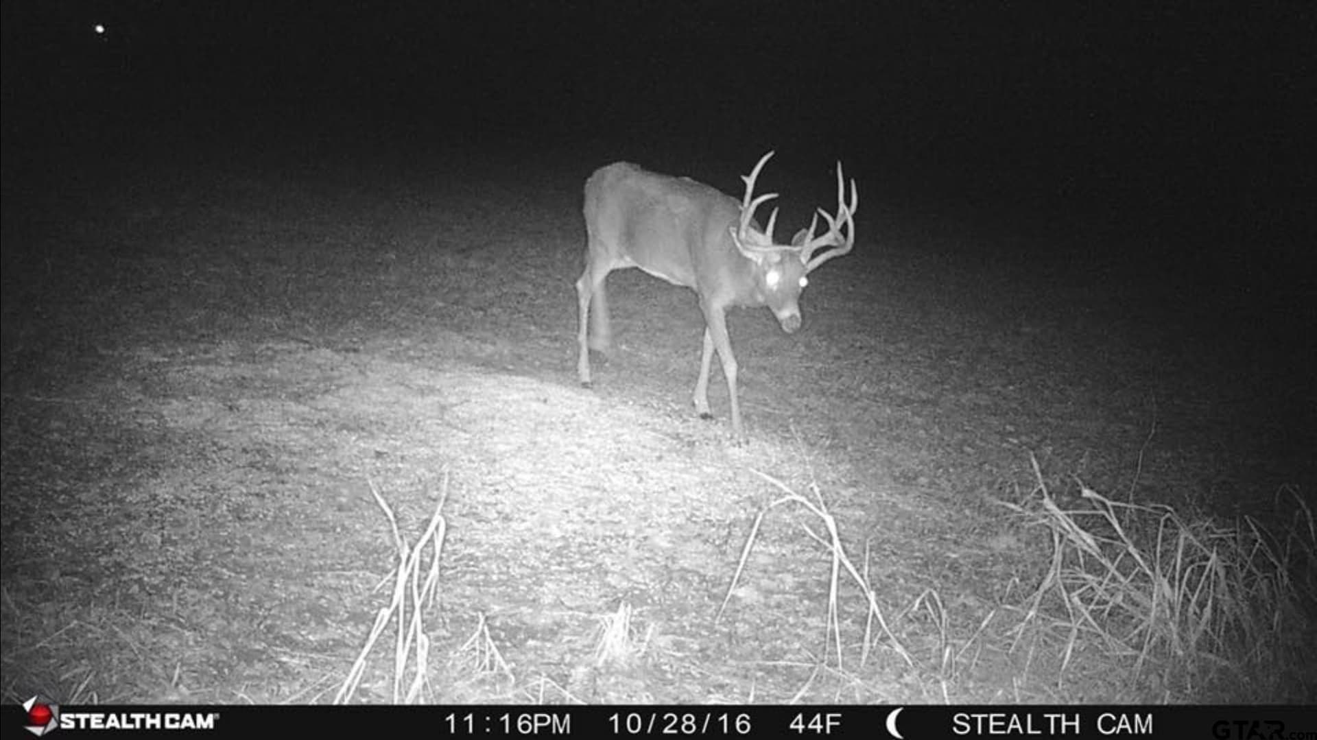 30 acres in Lamar County - photo 29