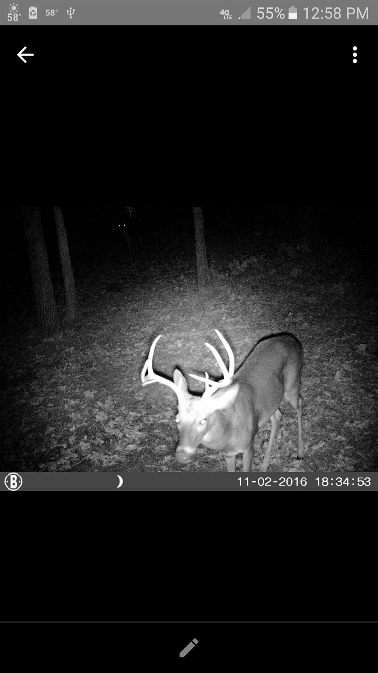 30 acres in Lamar County - photo 30