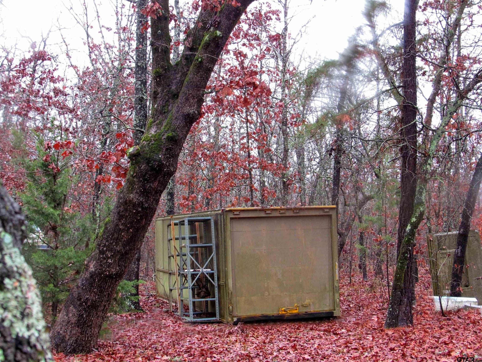 30 acres in Lamar County - photo 23