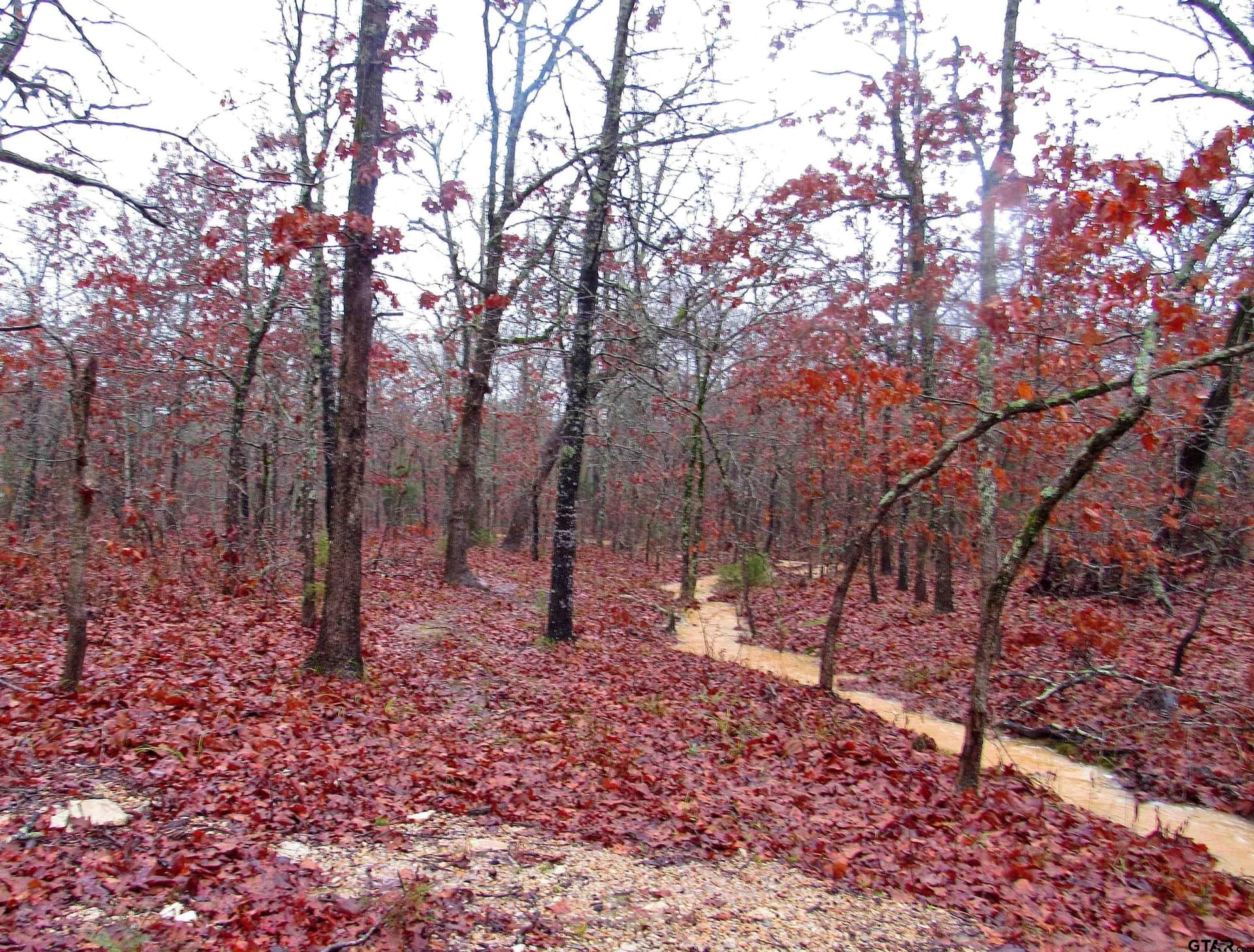 30 acres in Lamar County - photo 25