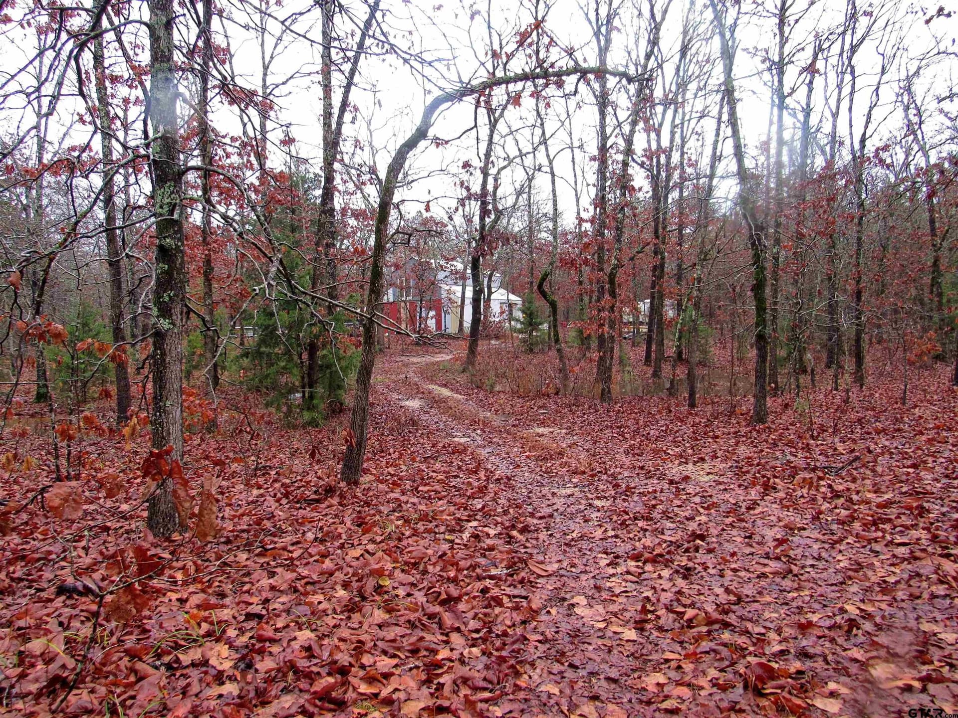 30 acres in Lamar County - photo 2