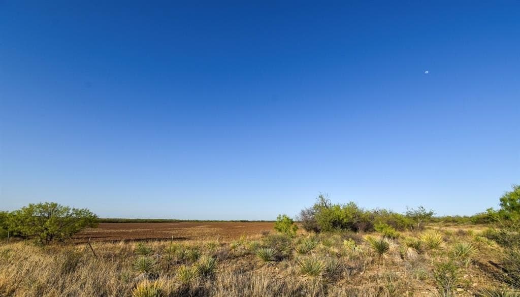 530.49 acres in McCulloch County - photo 21