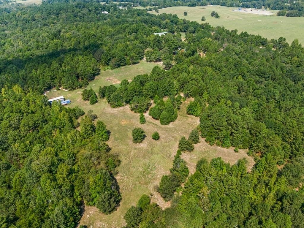53 acres in Upshur County - photo 6