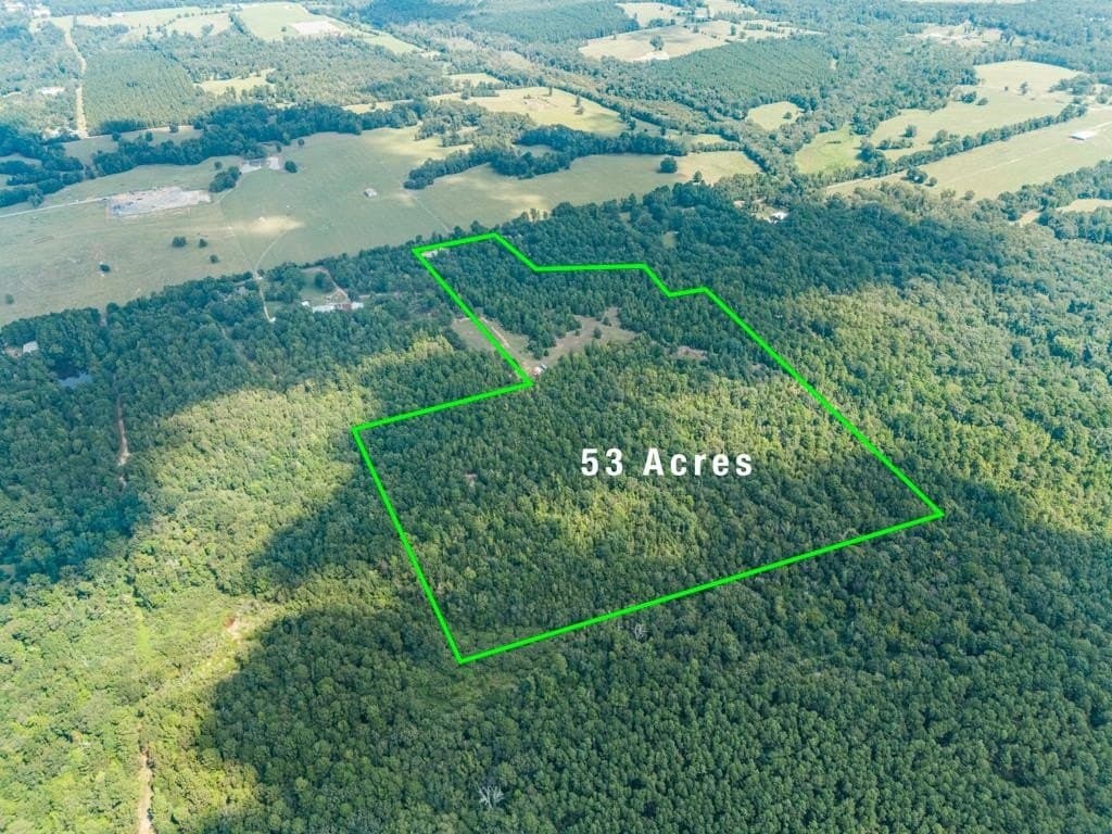 53 acres in Upshur County - photo 11