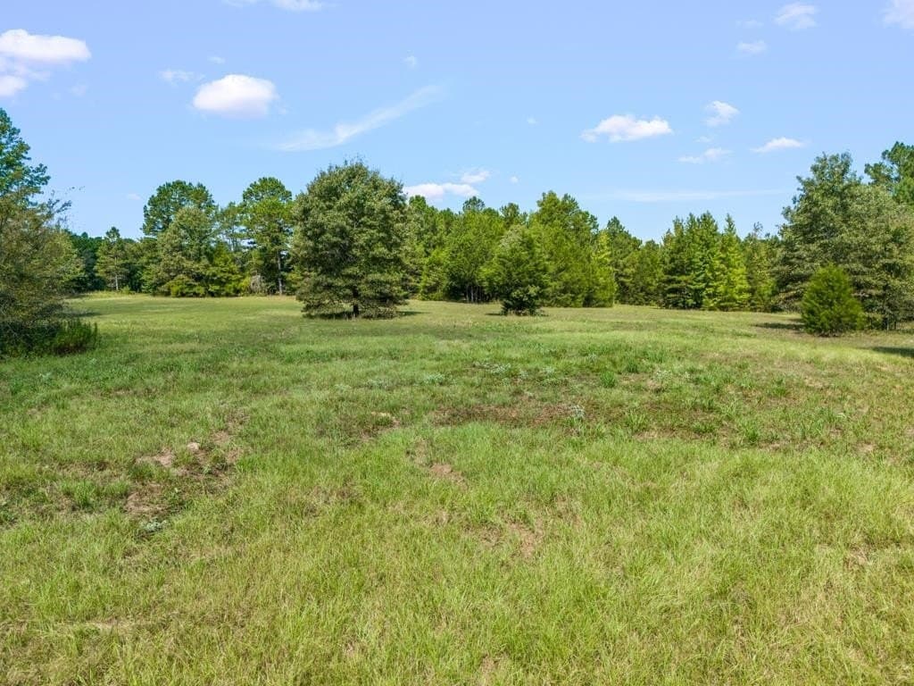53 acres in Upshur County - photo 7