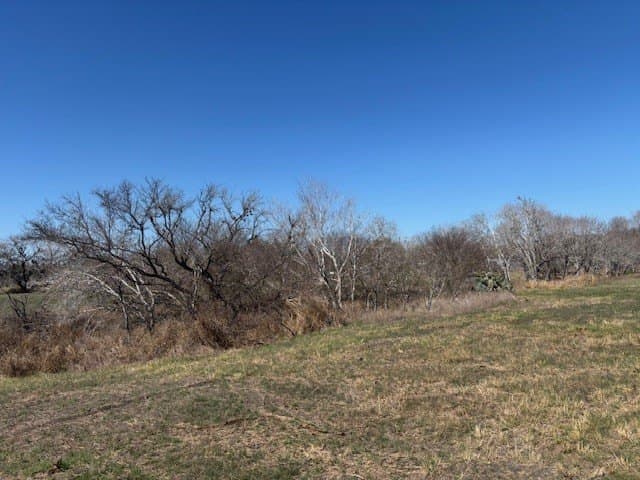 2.82 acres in Live Oak County - photo 2