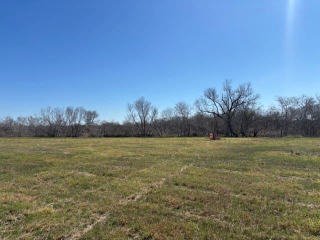 2.82 acres in Live Oak County - photo 7