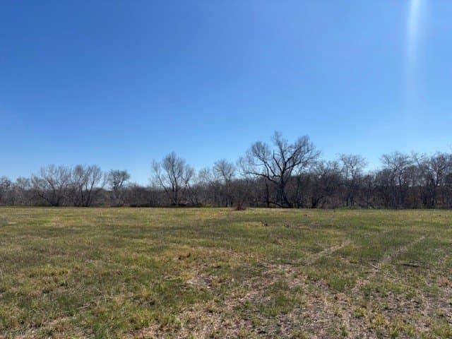 2.82 acres in Live Oak County - photo 4