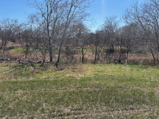2.82 acres in Live Oak County - photo 11