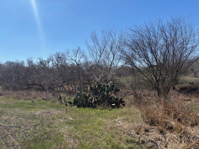 2.82 acres in Live Oak County - photo 8