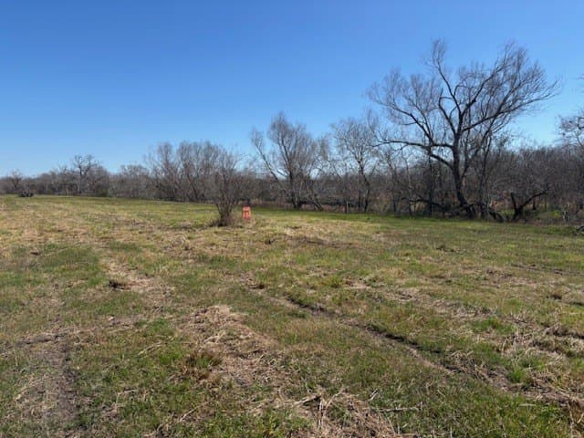2.82 acres in Live Oak County - photo 10