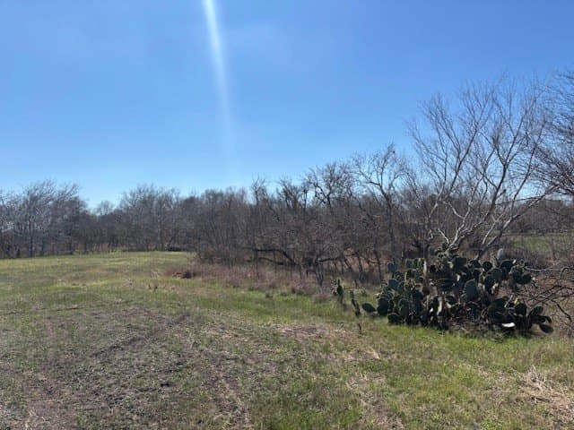 2.82 acres in Live Oak County - photo 3