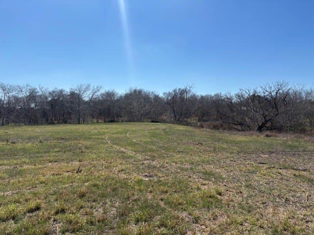 2.82 acres in Live Oak County - photo 9