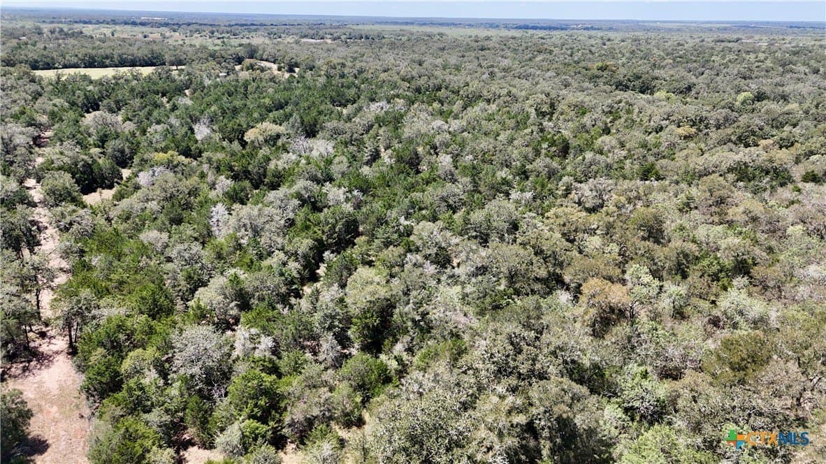 46.06 acres in Fayette County - photo 19