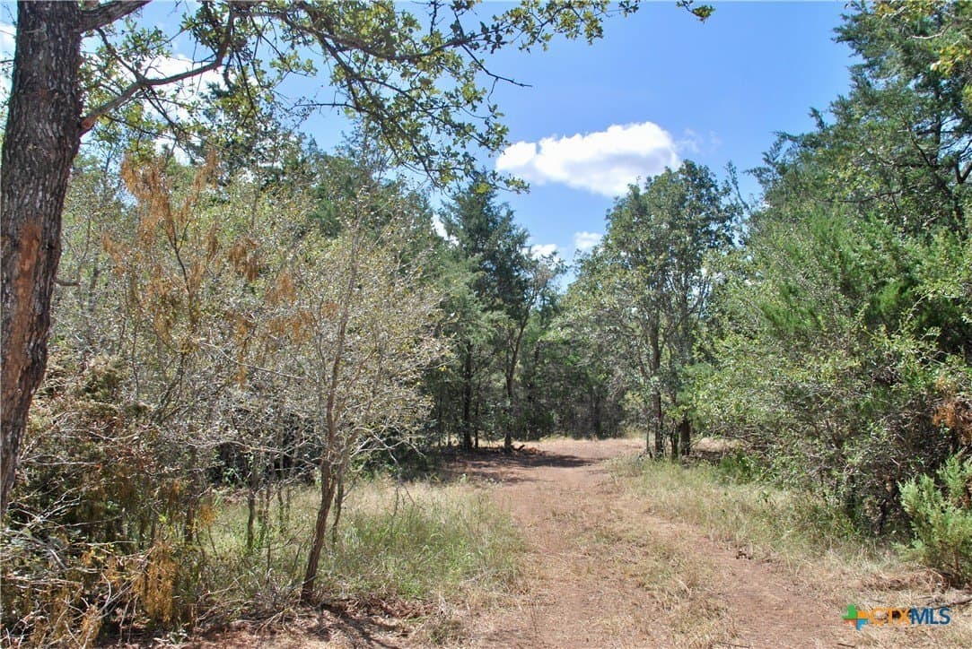 46.06 acres in Fayette County - photo 12