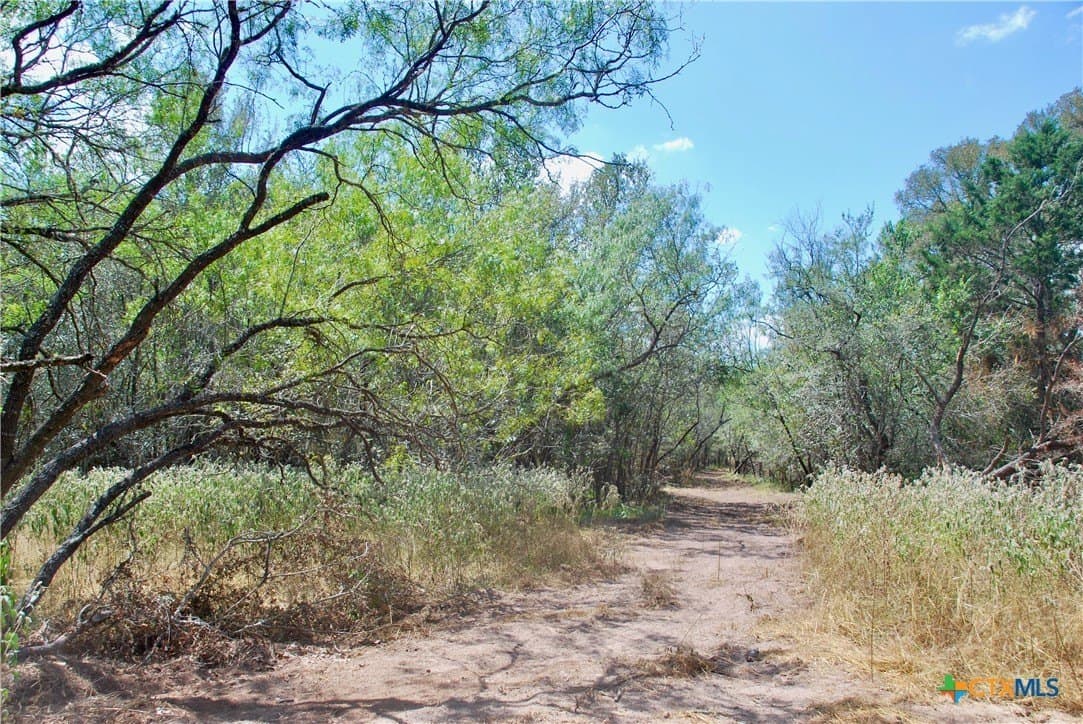 46.06 acres in Fayette County - photo 11