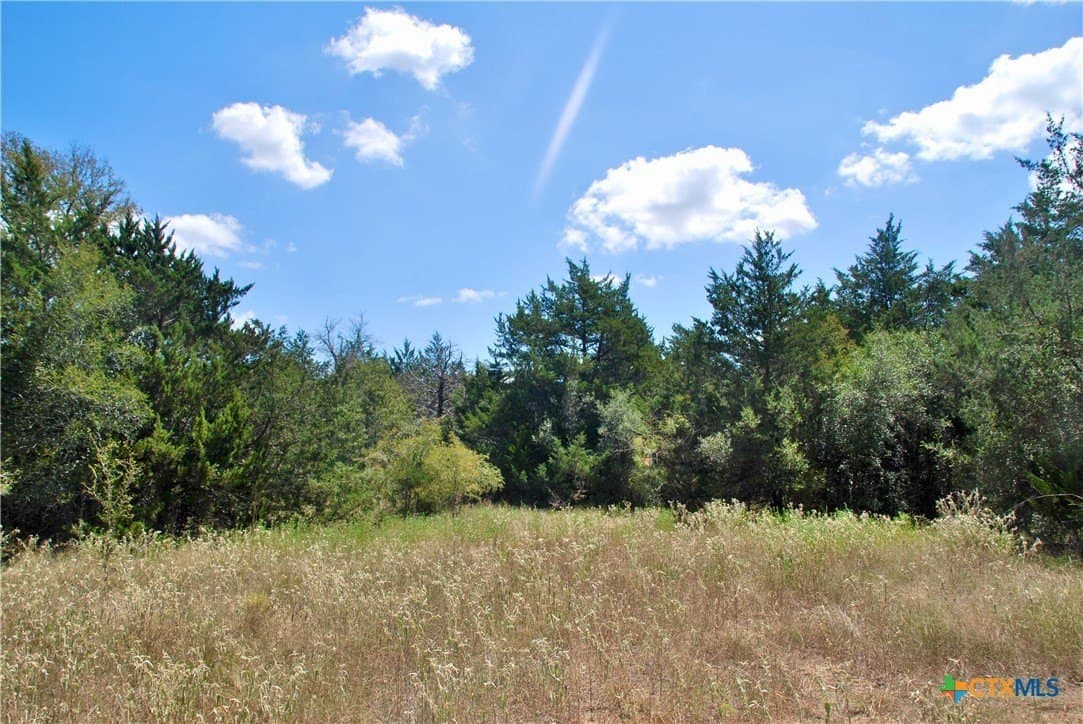 46.06 acres in Fayette County - photo 13