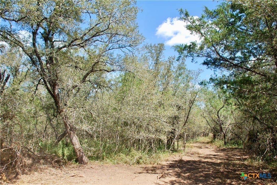 46.06 acres in Fayette County - photo 17