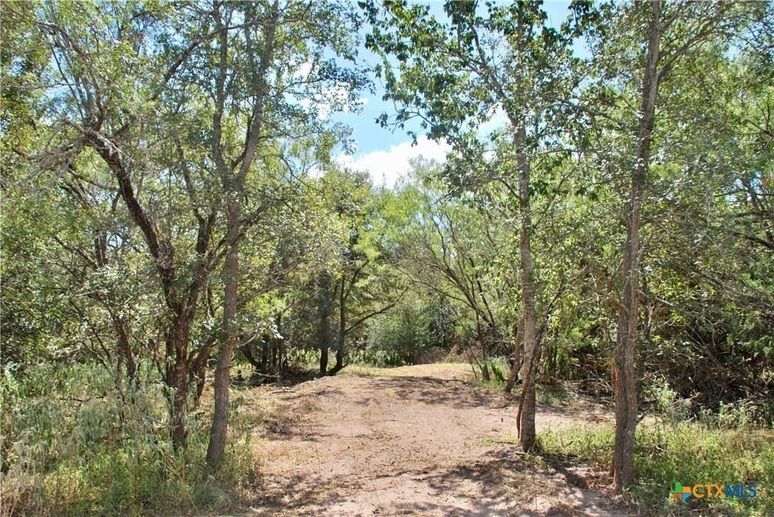 46.06 acres in Fayette County - photo 7