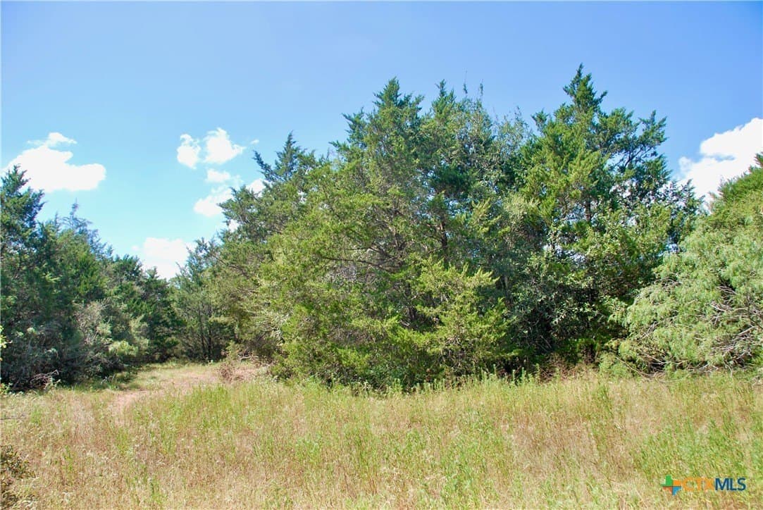 46.06 acres in Fayette County - photo 14
