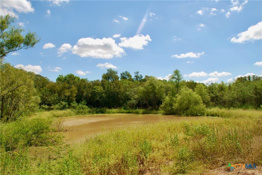 46.06 acres in Fayette County - photo 8