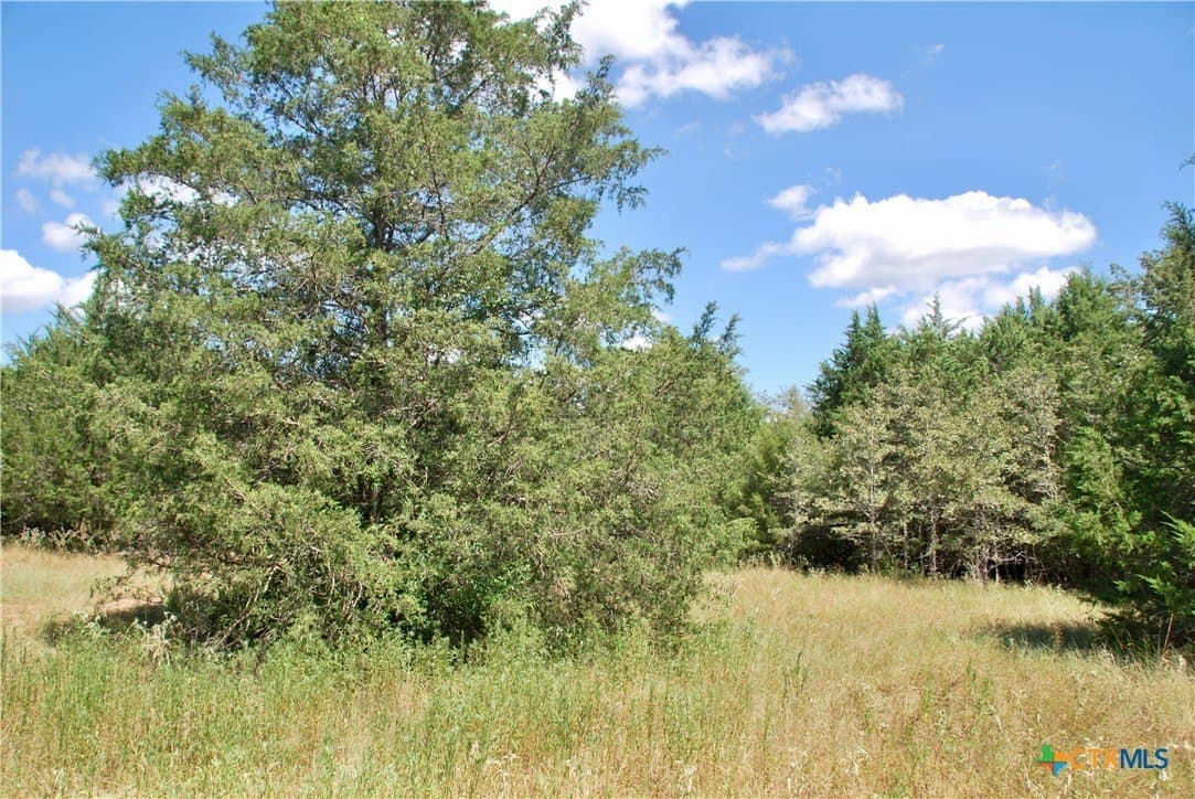 46.06 acres in Fayette County - photo 15