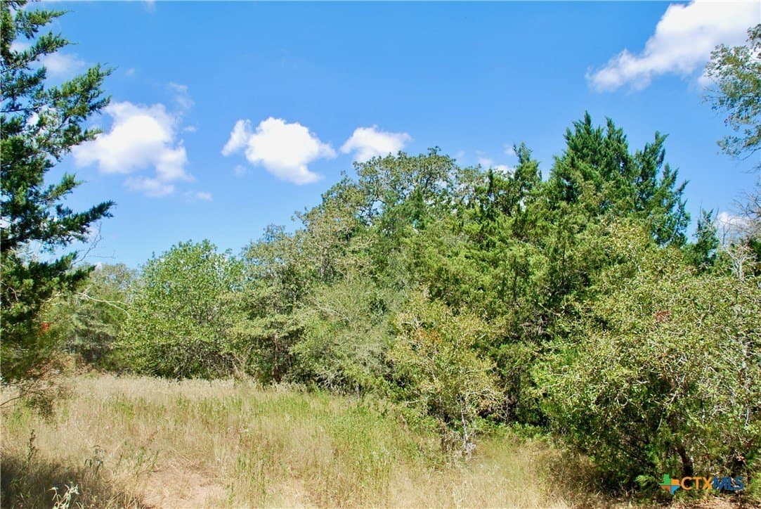 46.06 acres in Fayette County - photo 16